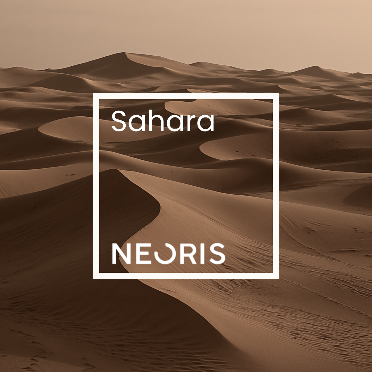 Sahara